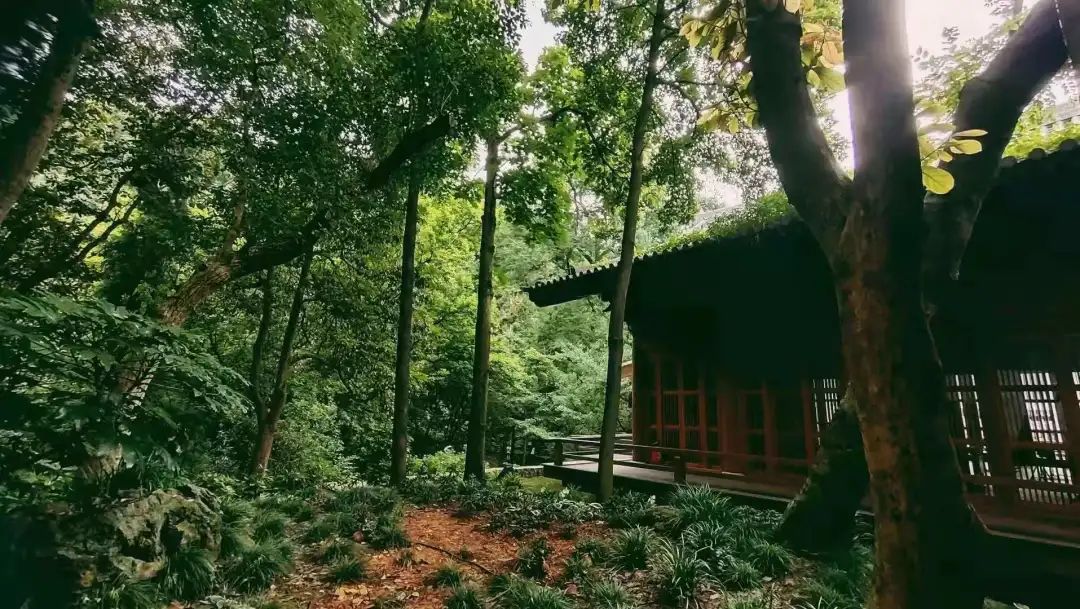 山房十二時辰——杭州靈隱全實木禪房插圖1