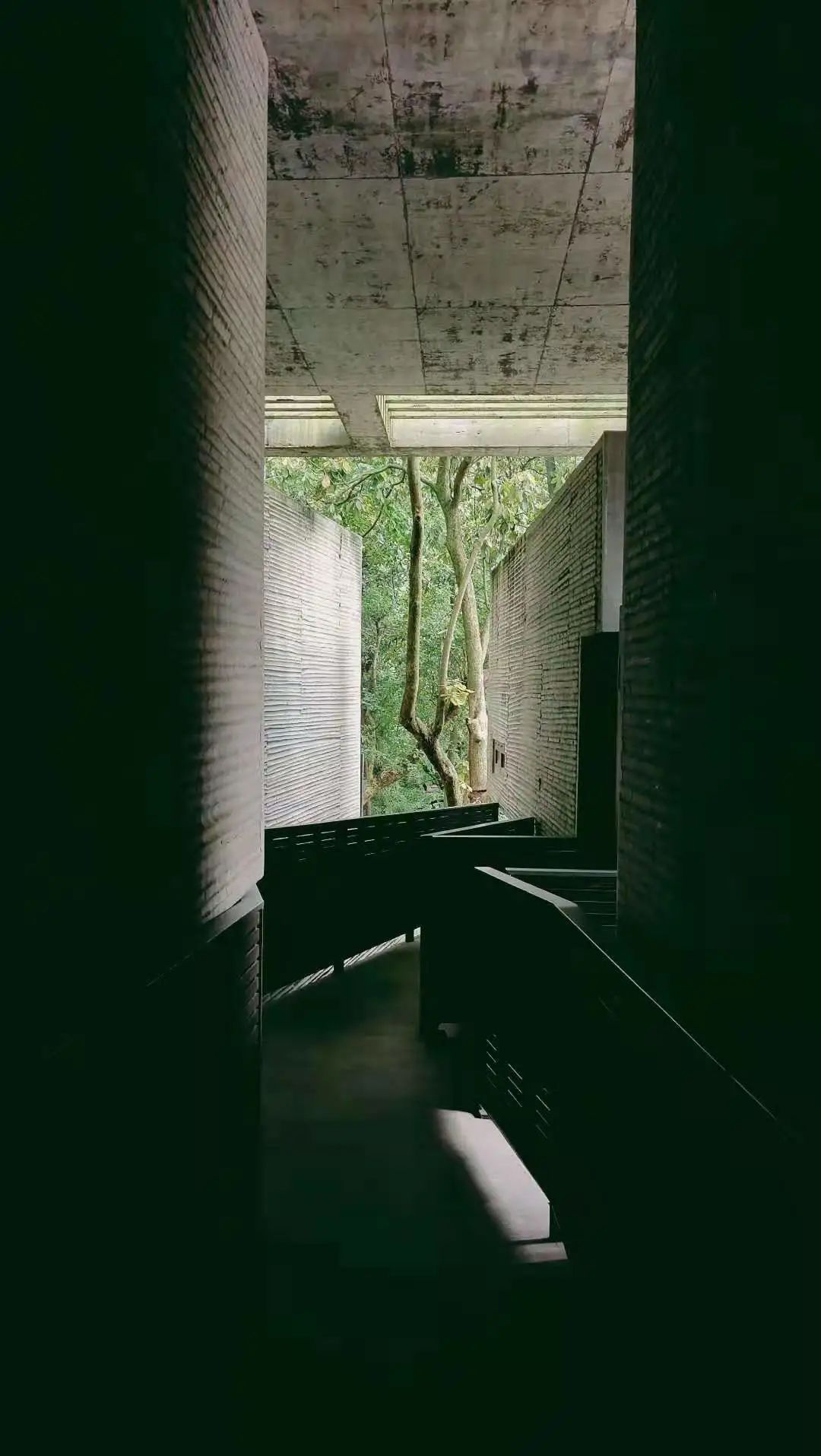 山房十二時辰——杭州靈隱全實木禪房插圖5