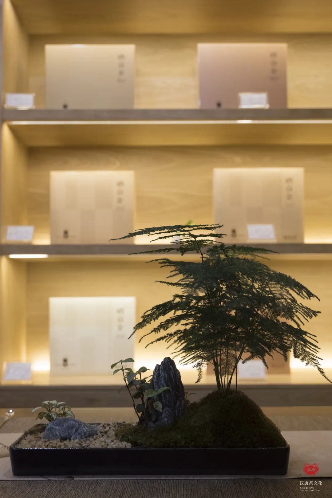 茶品牌體驗(yàn)空間巡禮第四輯 | CBD里的摩登品品香插圖9