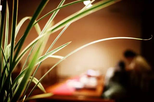 漢唐鄭州店 | 鳳凰茶城攜手招商銀行中秋雅集插圖13