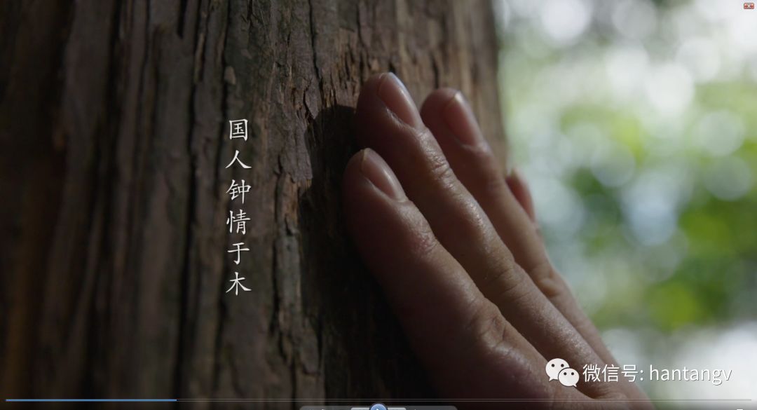漢唐最新宣傳片《漢唐匠心》震撼發(fā)布！插圖2